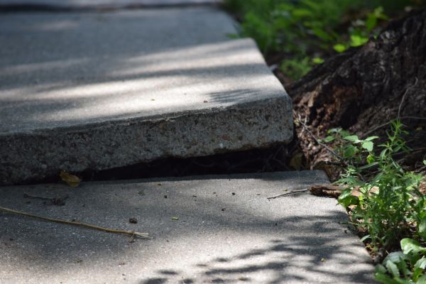 Sidewalk Leveling in Hudson