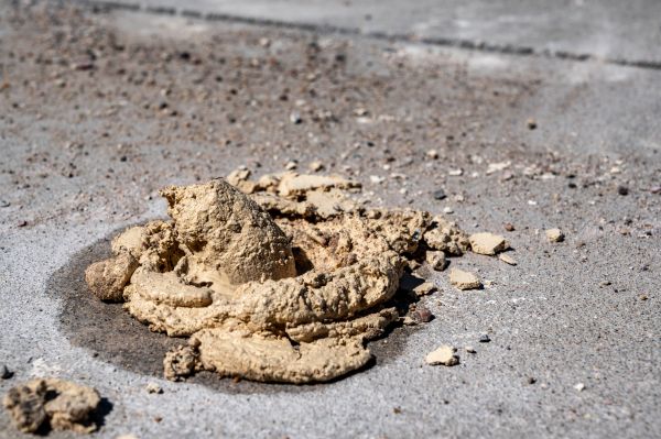 Cost of Driveway Slab Leveling in Hudson